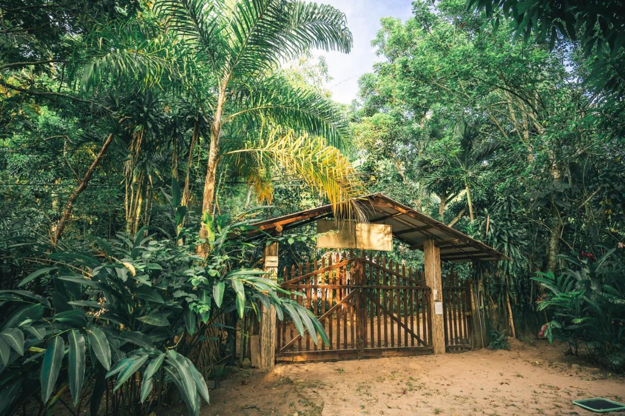 Huingos Eco Lodge Tarapoto Exterior foto